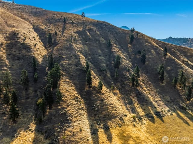 Property photo for 0 Nahahum Canyon Road, Cashmere photo 4