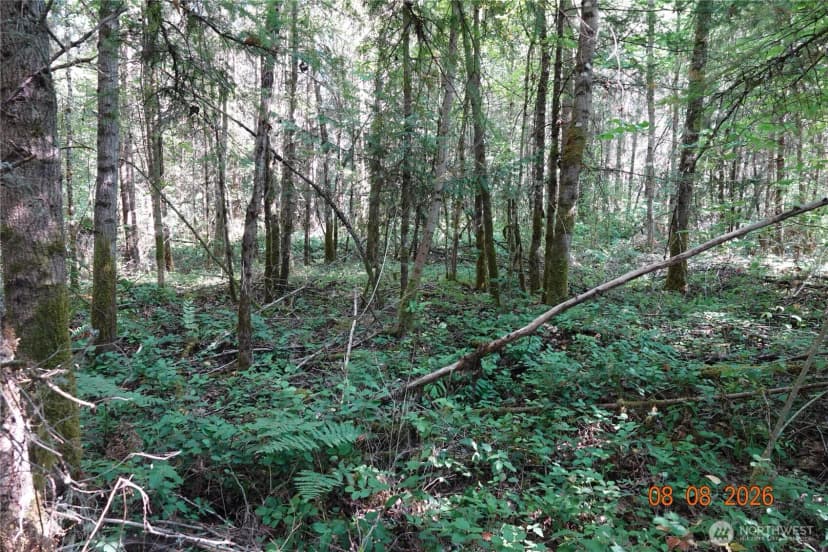 Property photo for 41102 Tanwax Road S, Roy photo 13