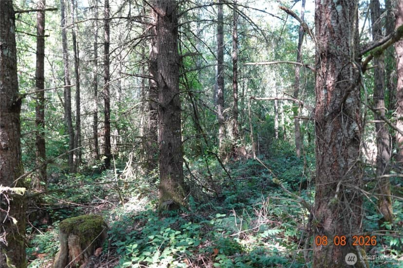 Property photo for 41102 Tanwax Road S, Roy photo 9