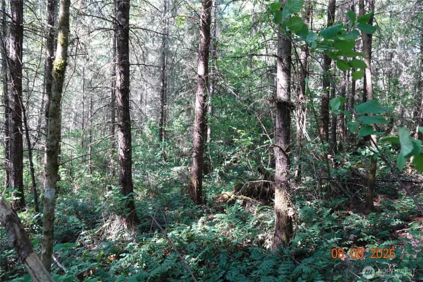 Property photo for 41102 Tanwax Road S, Roy photo 12