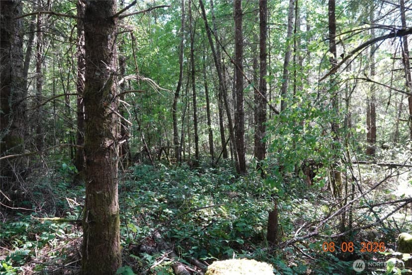 Property photo for 41102 Tanwax Road S, Roy photo 11