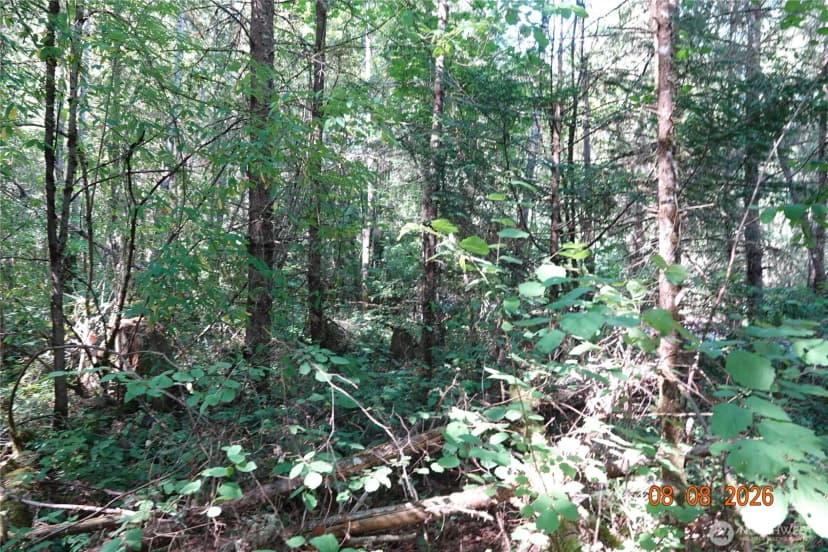 Property photo for 41102 Tanwax Road S, Roy photo 15