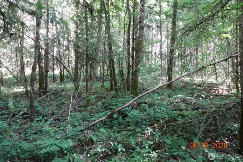 Property photo for 41102 Tanwax Road S, Roy photo 14