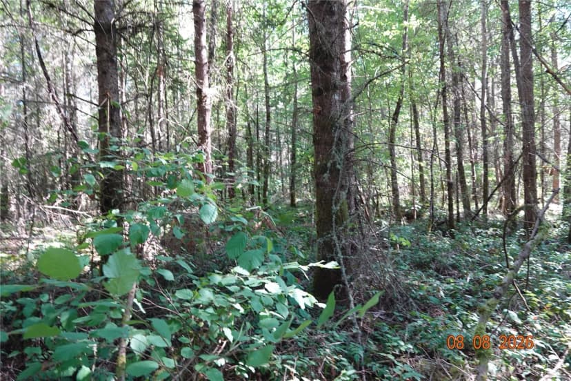 Property photo for 41102 Tanwax Road S, Roy photo 8