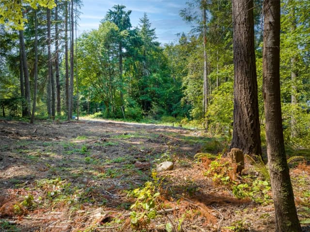 Property photo for 9998 Ne Lofgren Road, Bainbridge Island photo 4
