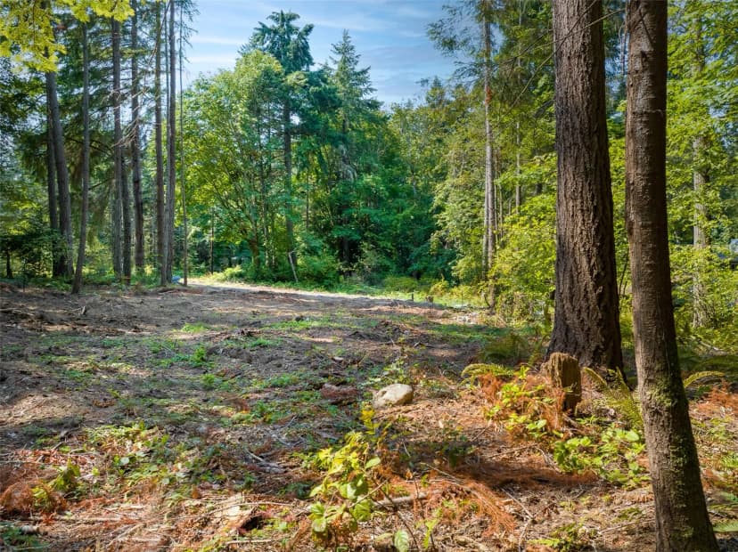 Property photo for 9998 Ne Lofgren Road, Bainbridge Island photo 4