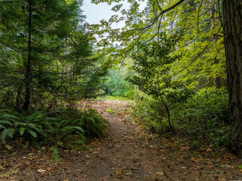 Property photo for 9998 Ne Lofgren Road, Bainbridge Island