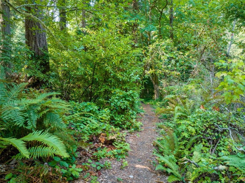 Property photo for 9998 Ne Lofgren Road, Bainbridge Island photo 6