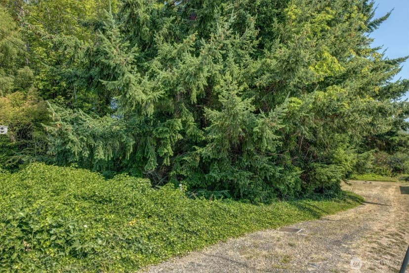 Property photo for 1239 Colchester Drive E, Port Orchard photo 23