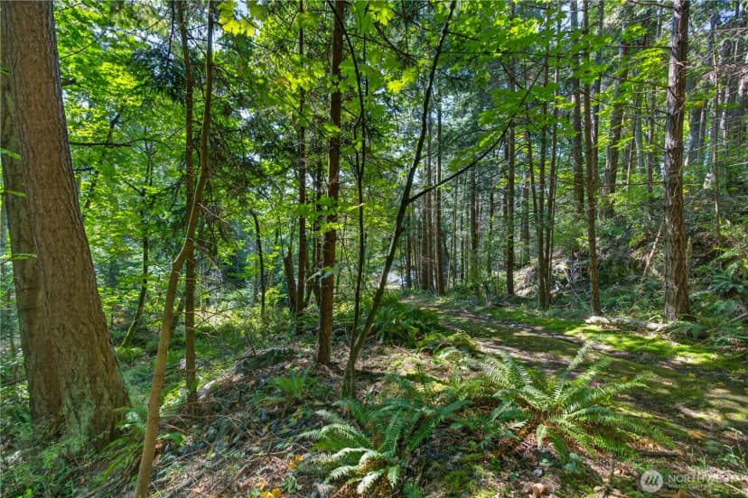 Property photo for 0 Nhn Woody Lane W, Anacortes photo 6