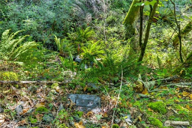 Property photo for 0 Nhn Woody Lane W, Anacortes photo 2