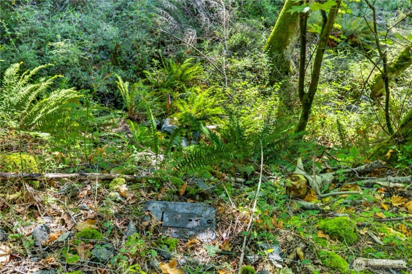 Property photo for 0 Nhn Woody Lane W, Anacortes photo 2