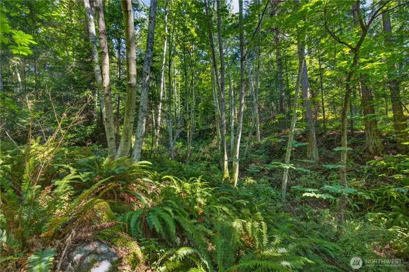 Property photo for 0 Nhn Woody Lane W, Anacortes photo 5