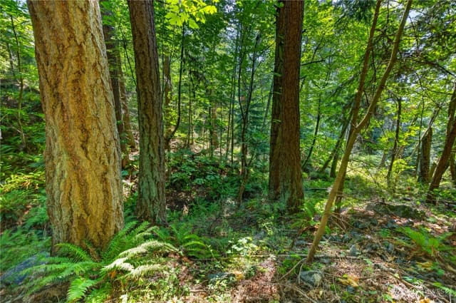 Property photo for 0 Nhn Woody Lane W, Anacortes photo 3