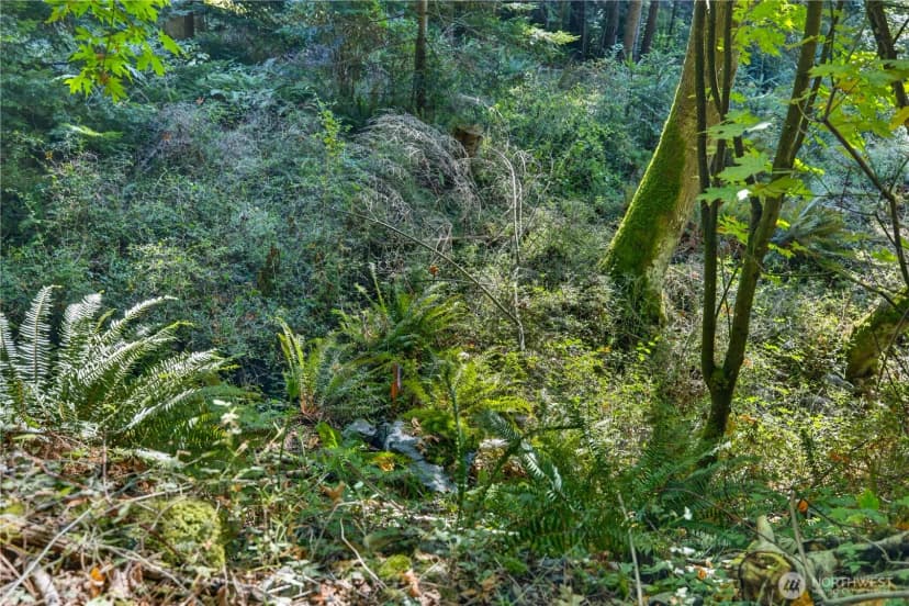 Property photo for 0 Nhn Woody Lane W, Anacortes