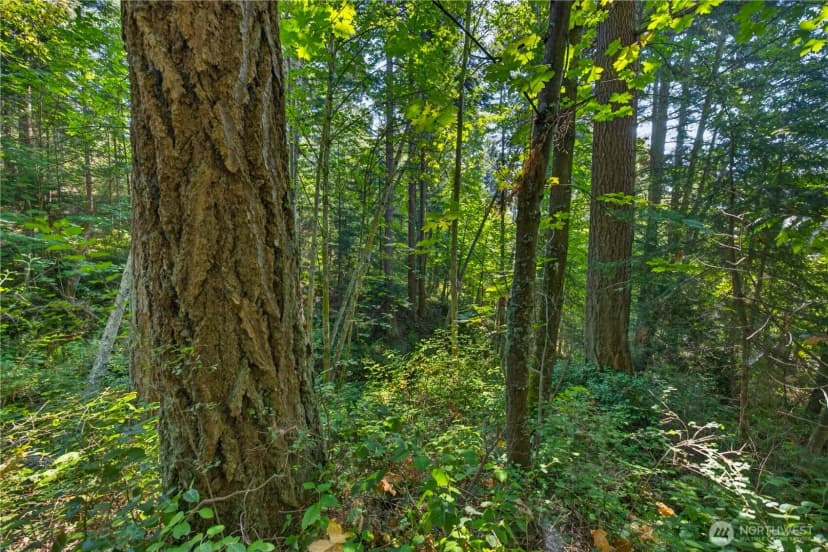 Property photo for 0 Nhn Woody Lane W, Anacortes photo 8