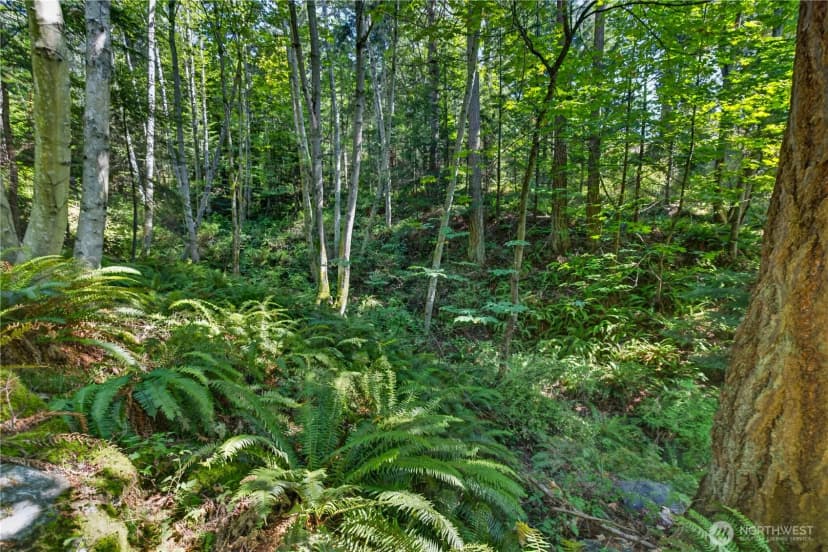 Property photo for 0 Nhn Woody Lane W, Anacortes photo 4