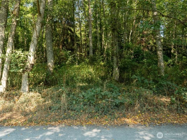 Property photo for 0 Small Lane, Coupeville photo 5