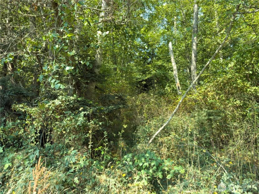 Property photo for 0 Small Lane, Coupeville photo 7