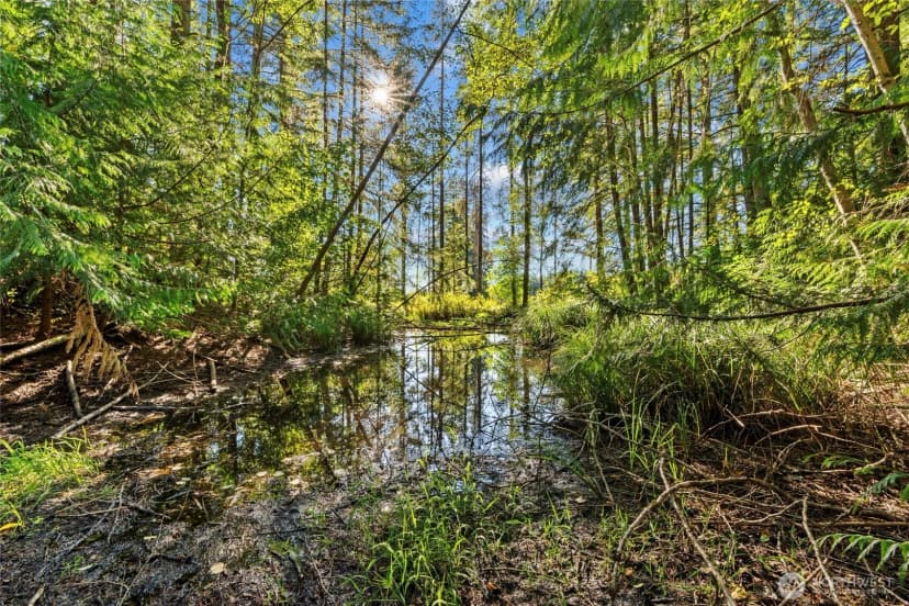 Property photo for 342 Chilvers Road, Chehalis photo 28