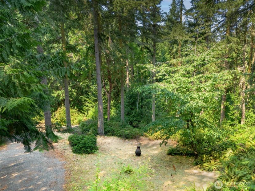 Property photo for 2237 Ivy Street, Port Townsend photo 37