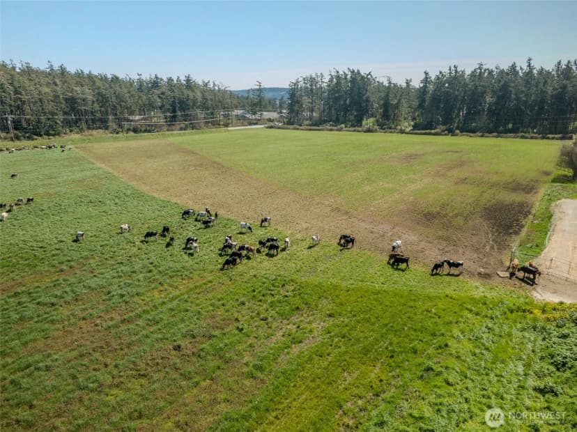Property photo for 1240 Arnold Road, Oak Harbor photo 38