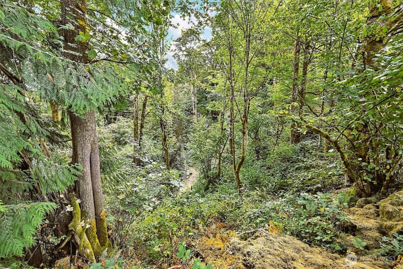 Property photo for 5507 Waller Road E, Tacoma photo 11
