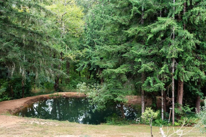 Property photo for 295 Casey Road, Castle Rock photo 27