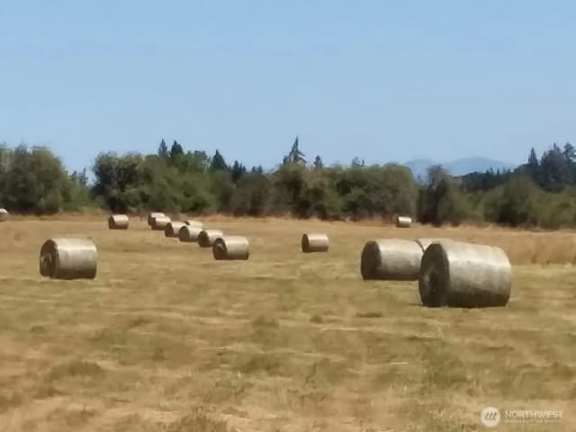 Property photo for 0 Drews Prairie Road, Winlock