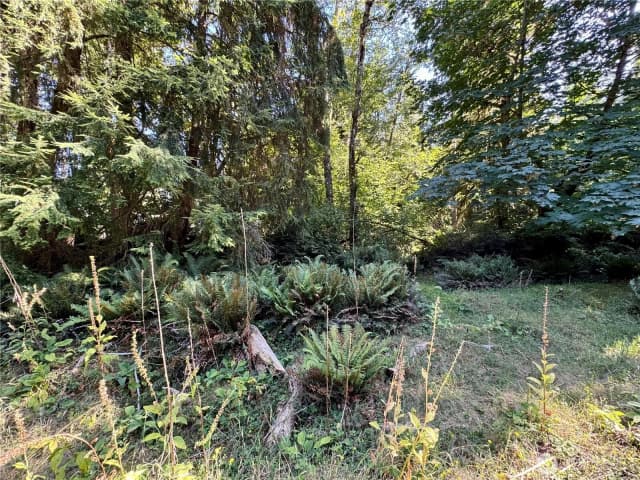 Property photo for 10516 106th Street, Anderson Island photo 4