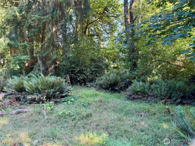 Property photo for 10516 106th Street, Anderson Island photo 3
