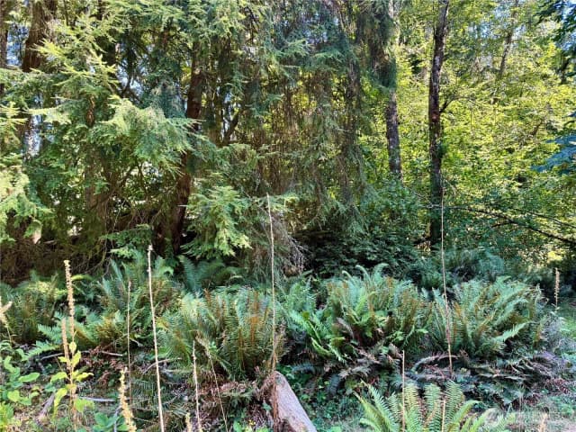 Property photo for 10516 106th Street, Anderson Island photo 5