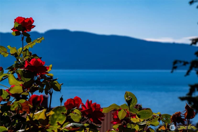 Property photo for 907 Chuckanut Drive, Bellingham photo 30