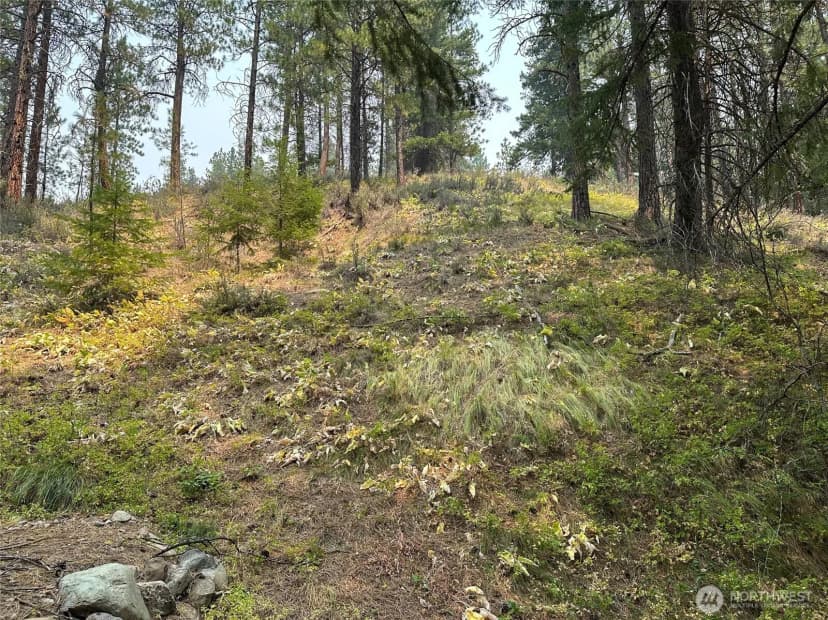 Property photo for 4 Red Bridge Road, Cle Elum photo 12