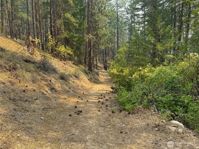Property photo for 4 Red Bridge Road, Cle Elum photo 8