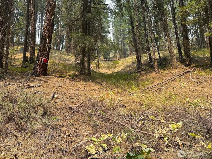 Property photo for 4 Red Bridge Road, Cle Elum photo 7