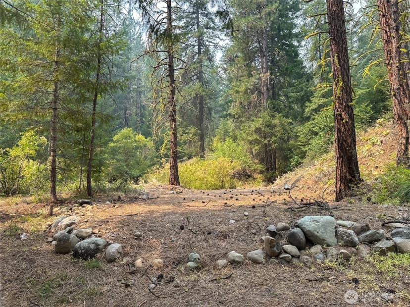 Property photo for 4 Red Bridge Road, Cle Elum photo 11