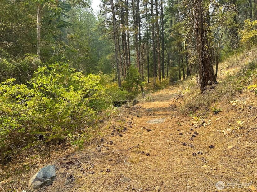 Property photo for 4 Red Bridge Road, Cle Elum photo 10