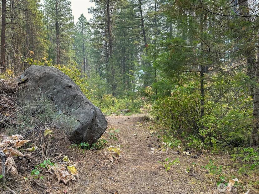 Property photo for 4 Red Bridge Road, Cle Elum photo 9