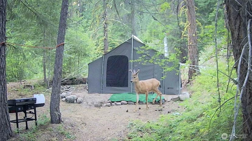 Property photo for 4 Red Bridge Road, Cle Elum