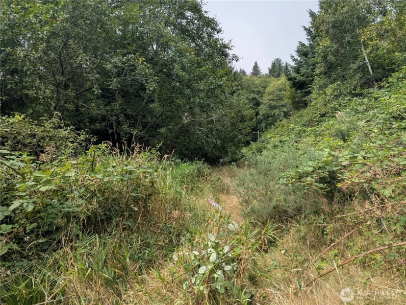 Property photo for 0 Lamontay Lot #6 Place, Ilwaco photo 8