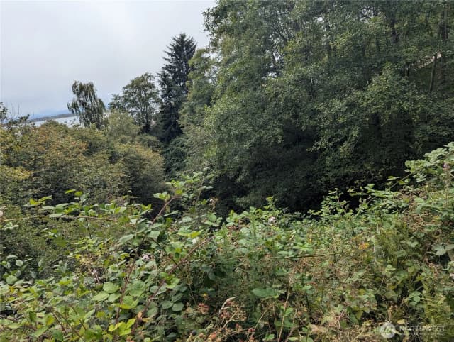 Property photo for 0 Lamontay Lot #6 Place, Ilwaco