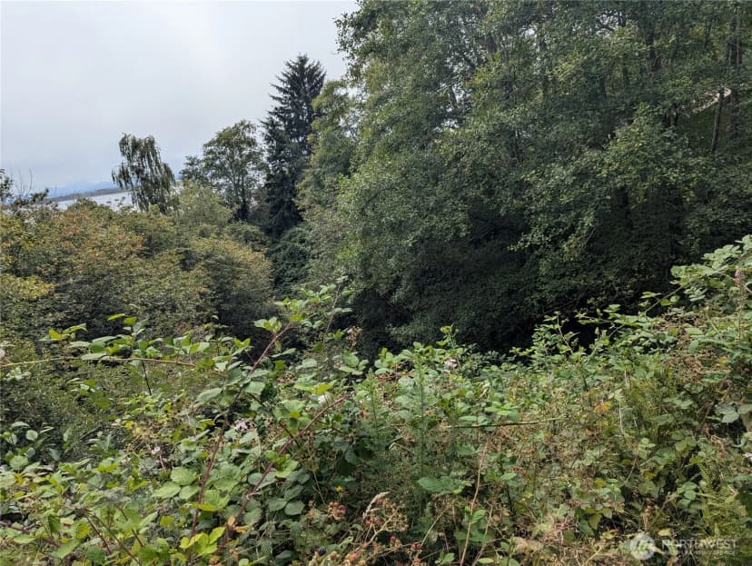 Property photo for 0 Lamontay Lot #6 Place, Ilwaco