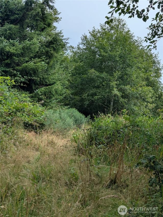 Property photo for 0 Lamontay Lot #6 Place, Ilwaco photo 5