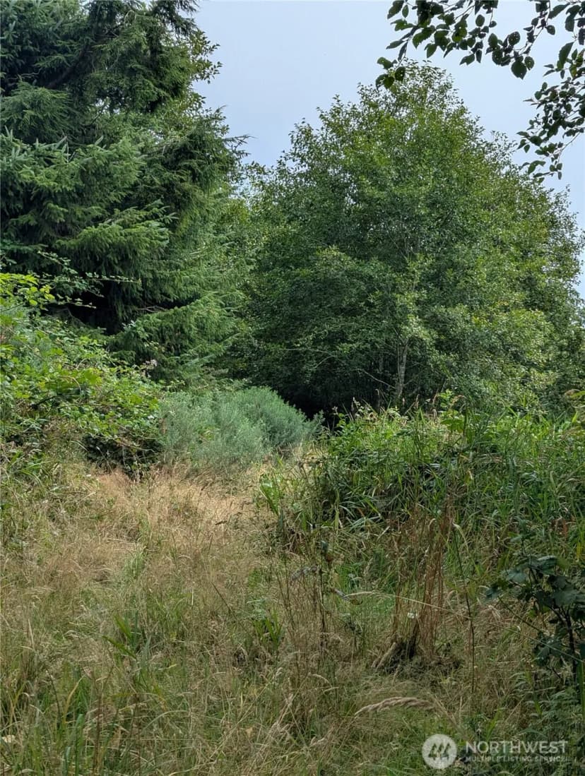 Property photo for 0 Lamontay Lot #6 Place, Ilwaco photo 5