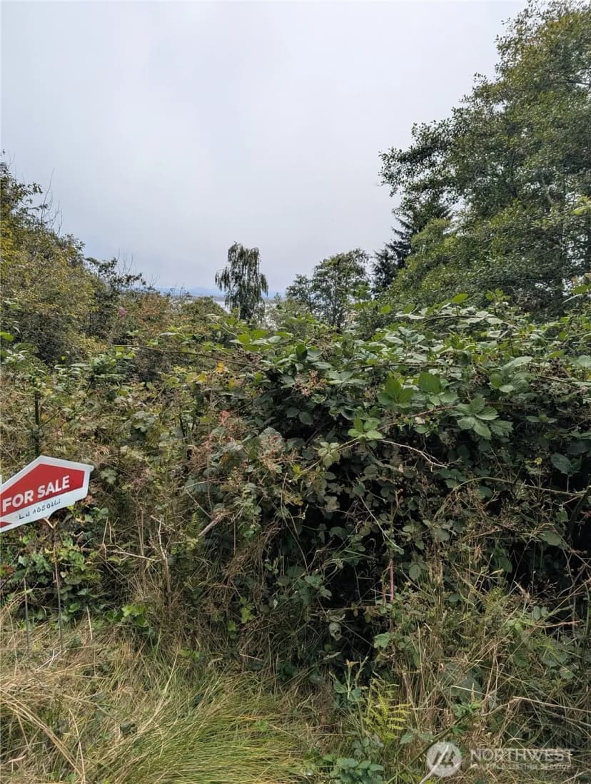 Property photo for 0 Lamontay Lot #6 Place, Ilwaco photo 6