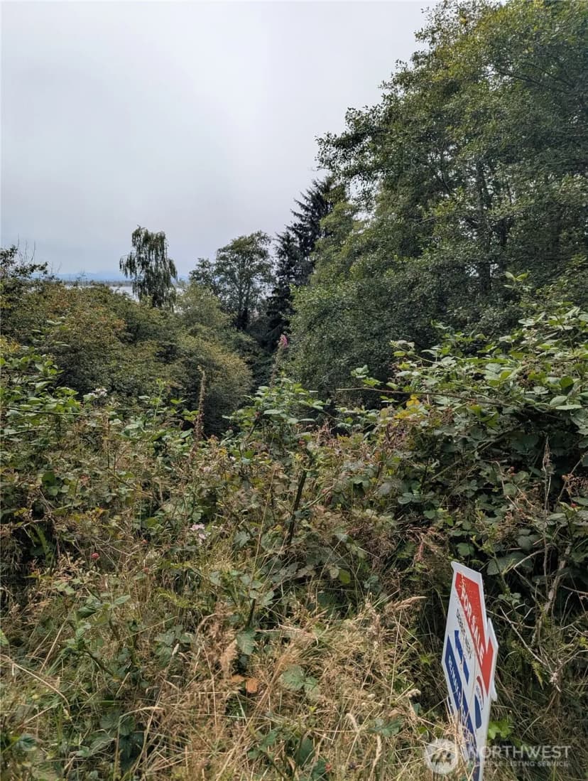 Property photo for 0 Lamontay Lot #6 Place, Ilwaco photo 10