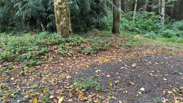 Property photo for 5981 Ne Spruce Dr, Hansville
