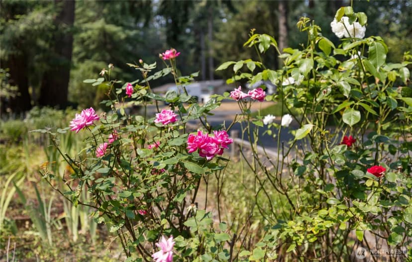 Property photo for 8609 Lake Forest Drive Se, Lacey photo 10