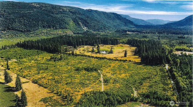 Property photo for 0 Heady Road, Sumas photo 2